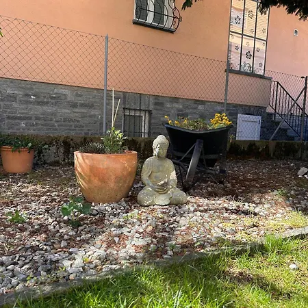 Corte Del Pino Appartement Losone